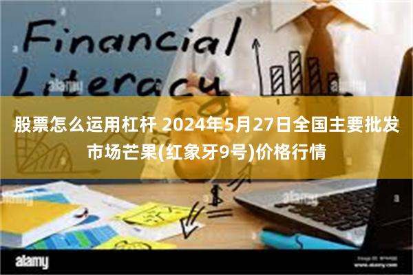 股票怎么运用杠杆 2024年5月27日全国主要批发市场芒果(红象牙9号)价格行情