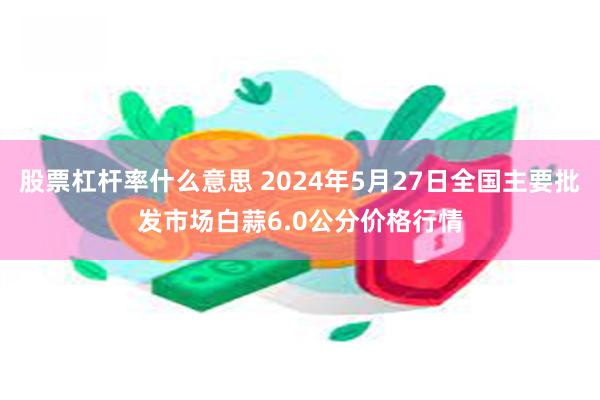 股票杠杆率什么意思 2024年5月27日全国主要批发市场白蒜6.0公分价格行情