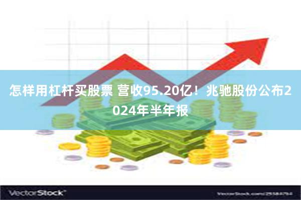 怎样用杠杆买股票 营收95.20亿！兆驰股份公布2024年半年报