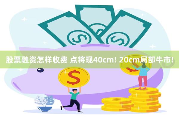 股票融资怎样收费 点将现40cm! 20cm局部牛市!