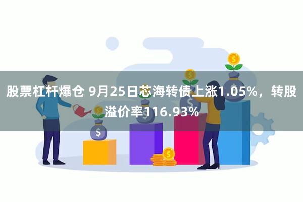 股票杠杆爆仓 9月25日芯海转债上涨1.05%，转股溢价率116.93%