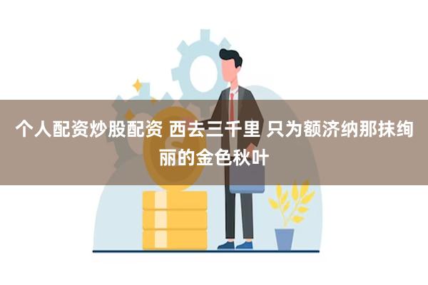 个人配资炒股配资 西去三千里 只为额济纳那抹绚丽的金色秋叶