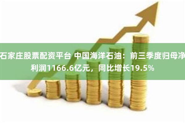 石家庄股票配资平台 中国海洋石油：前三季度归母净利润1166.6亿元，同比增长19.5%