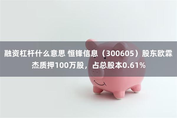 融资杠杆什么意思 恒锋信息（300605）股东欧霖杰质押100万股，占总股本0.61%