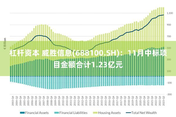 杠杆资本 威胜信息(688100.SH)：11月中标项目金额合计1.23亿元