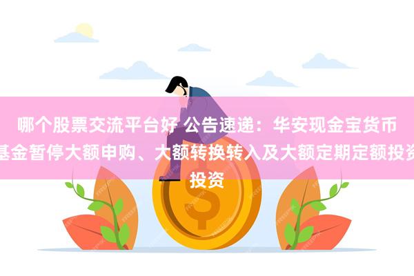 哪个股票交流平台好 公告速递：华安现金宝货币基金暂停大额申购、大额转换转入及大额定期定额投资